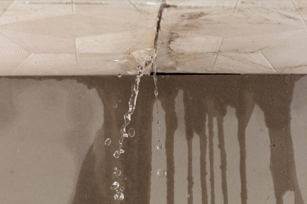 Professional Flood Damage Cleanup technician working in Abbeville, MS